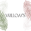 Willow’s Egypt is Hiring